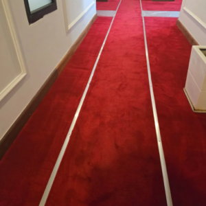 Executive Carpet
